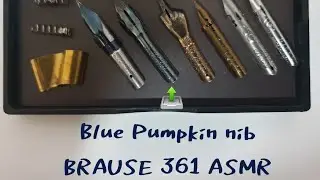 #브라우스닙펜#ASMR#취미생활  Blue Pumpkin nib BRAUSE NO.361 ASMR