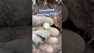 Unearthed After Almost 100 Years - Canadian Archaeology 🔥 #shorts #vintage #history