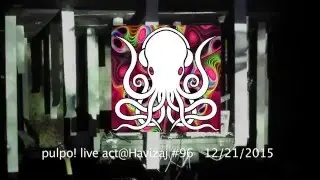 Havizaj #96 - pulpo! live act - 12/21/2015, Zeg-Zug Club, Budapest, Hungary