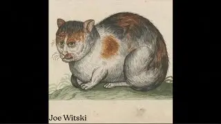 Joe Witski - K (Demo)