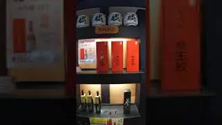 Beautiful Japanese Liquor Store | VAN LIFE JAPAN