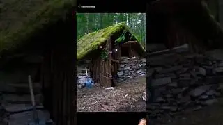 #shelterbuilding #campfiresound #firecamping #outdoorcamping #wood #campfirevibes#campfire #survival