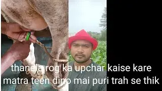 Thanela ka upchar kaise kare , how to treat thanella,teen dino ke andar puri trah se thanela thik