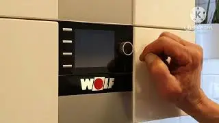 Wolf schünsee