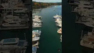 Вечер в Игл-Харбор 🌅 | Отражения в марине острова Бейнбридж осенью (DJI Avata 4K)