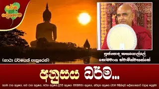 Ven Kahagolle Somawansa Thero | 2024-01-23 | 10:00AM (අනුසය ධර්මතා හත ගැන දැනගන්න...)