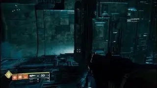 Destiny 2: Raid with my clan....My friends having a chill day lol