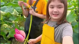 Travel in China: Digging Lotus Roots in a Lotus Pond (by Alexander and Sienna Ivancic)
