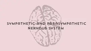 Sympathetic and parasympathetic nervous system | Neet | Botany | Zoology | Education 