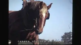 6459 Mijn mensen van mijn dorp (film super8)./VEMD