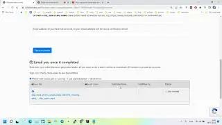 Translate Videos Online