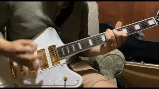 Firefly FFDB Firebird style Electric Guitar 2025 Bridge Pickup Chords Clip 3 pickup Mini Humbucker
