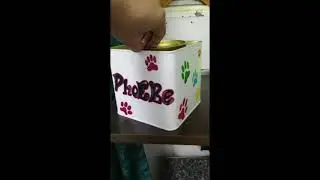 REUSE OF OLD BOX | PAINT OLD BOX INTO NEW | DIY | Tanushree Tripathi #SHORTS