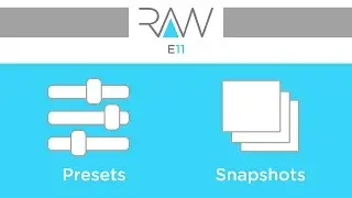 Camera RAW E11 Presete - Snapshots