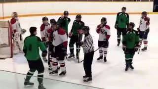 House league hockey fight