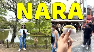JP06 – NARA Day Trip from Osaka 🦌 Todaiji Temple, Mochi & More!