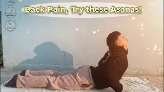 Back Pain Yoga (4) || #day140 #yoga 
