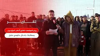 تقرير | رياح العواصف تقتلع أحلام المزارعين بتوكرة .. ومطالبات بتدخل حكومي عاجل