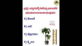 Xylem tissue 🍀#science #psi #kas #sciencefacts #sciencetricks #viralvideo #sslc #9thclass #govtjobs.