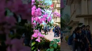 Devamatha CMI School 2026#morning vibe #school #students