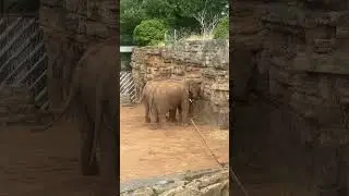 Chester zoo 2023