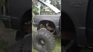 V8 S10 mud truck walk around
