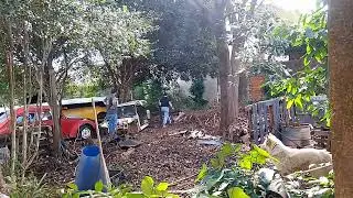 Parte 1 limpeza do lote