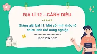 Giảng bài 11: Một số hình thức tổ chức lãnh thổ nông nghiệp | Bài giảng Địa lí 12 CD