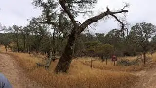 morgan territory hike - latter part