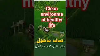 Clean environment #healthy llife#Green Pakistan, #Clean Punjab