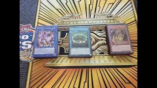 Sacred Beasts Aug 2020 Decklist!