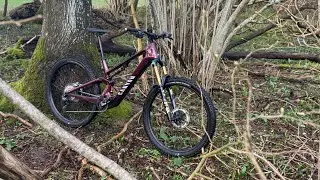 2024 Canyon Neuron:ONfly CF7 Carbon 29er Light EMTB Bike Check
