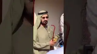 Why Dubai Sheikhs Become Richer in Summer?🔥#shorts #shortsfeed