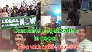 What people's Think about Legalization of Marijuana😱 || Public reaction and Vlog🔥||