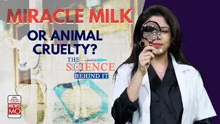 Cow Colostrum: Is 'Miracle Milk' Safe for Pregnant Women? What Are its Benefits? | Science Behind It