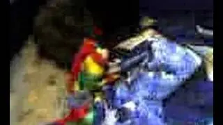 Cowboy Attacks Littermates by John Talmage