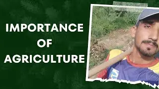 Pakistani Youth and  Prosperous Agricultural Future