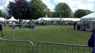 Herefordshire Diamond Day - 11 July 2012