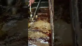 Oil Water Separator, Oil Skimmer, Oily Skimmer