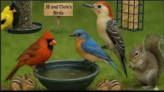 Saturday Morning 🐦N Georgia Bird Feeder & Garden Wildlife Window to Nature | 51 Species Identified