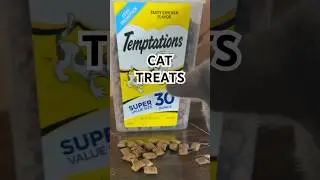 Temptations Cat Treats
