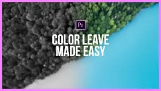 HOW TO ISOLATE COLORS IN PREMIERE - Premiere Pro Tutorial