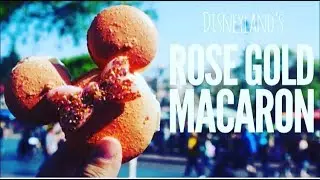 Disneyland&rsquo;s Rose Gold Macaron