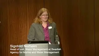 National Overview of the Water Framework Directive Progress in Sweden