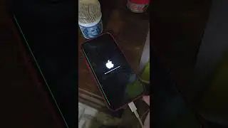 IPhone 13 green line screen issue after update #shortvideo #shorts #iphone13