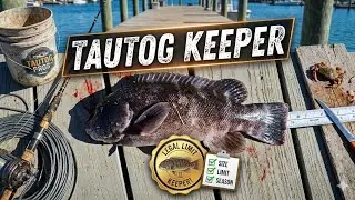 Early Fall Tautog(blackfish) Fishing | Keeper | NJ