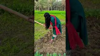 mehnat karne se safalta hasil hoti hai #viralreels #shortsfeed #shorts