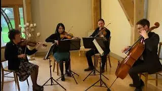Lover - Taylor Swift - Scintillo String Quartet
