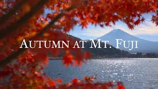 Autumn at Mt. Fuji - Japan (4K HDR) / 秋の富士山 河口湖