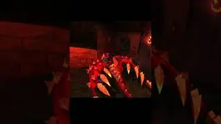 World of Warcraft Pet guide #2                      #worldofwarcraft #mount  #dragonflight